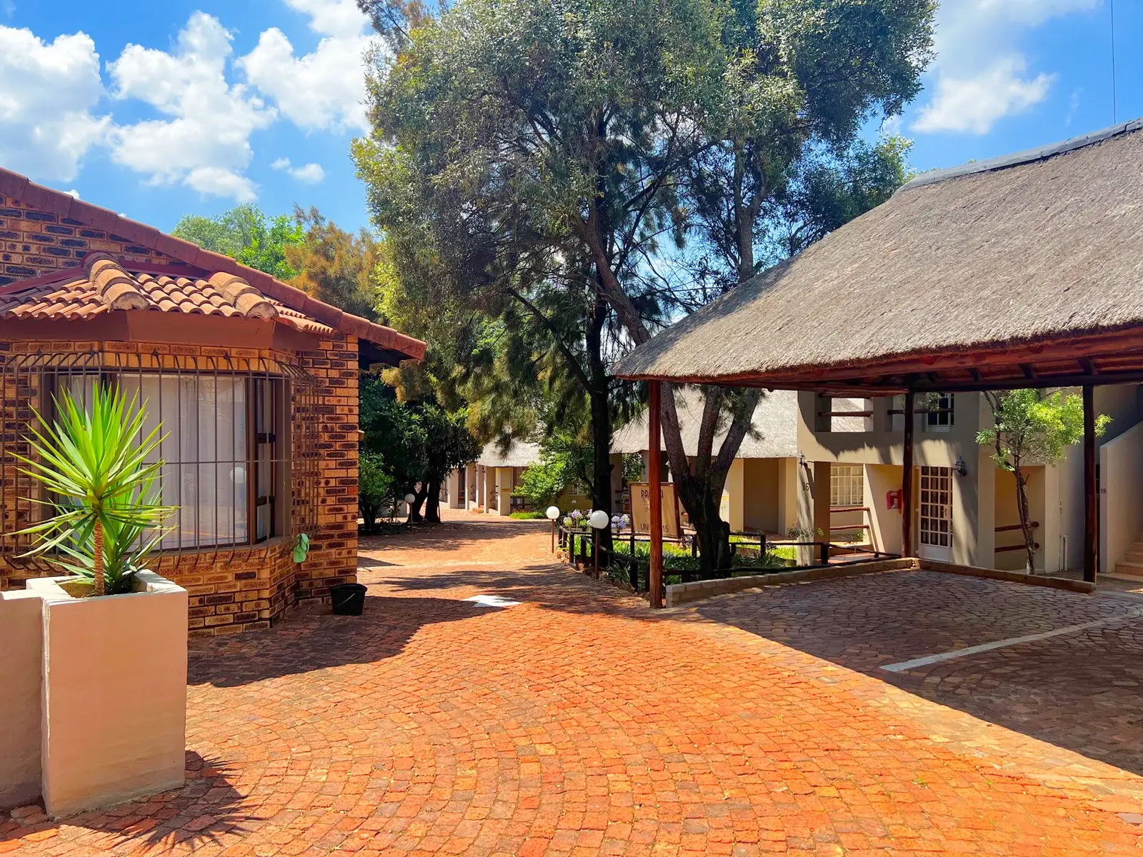 Thatched cottages lining the paved roadway through the lodge grounds.