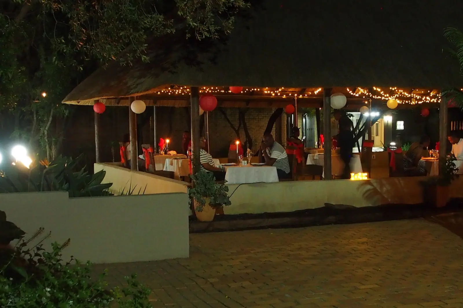An outdoor dinner under festoon lighting in the garden at night.