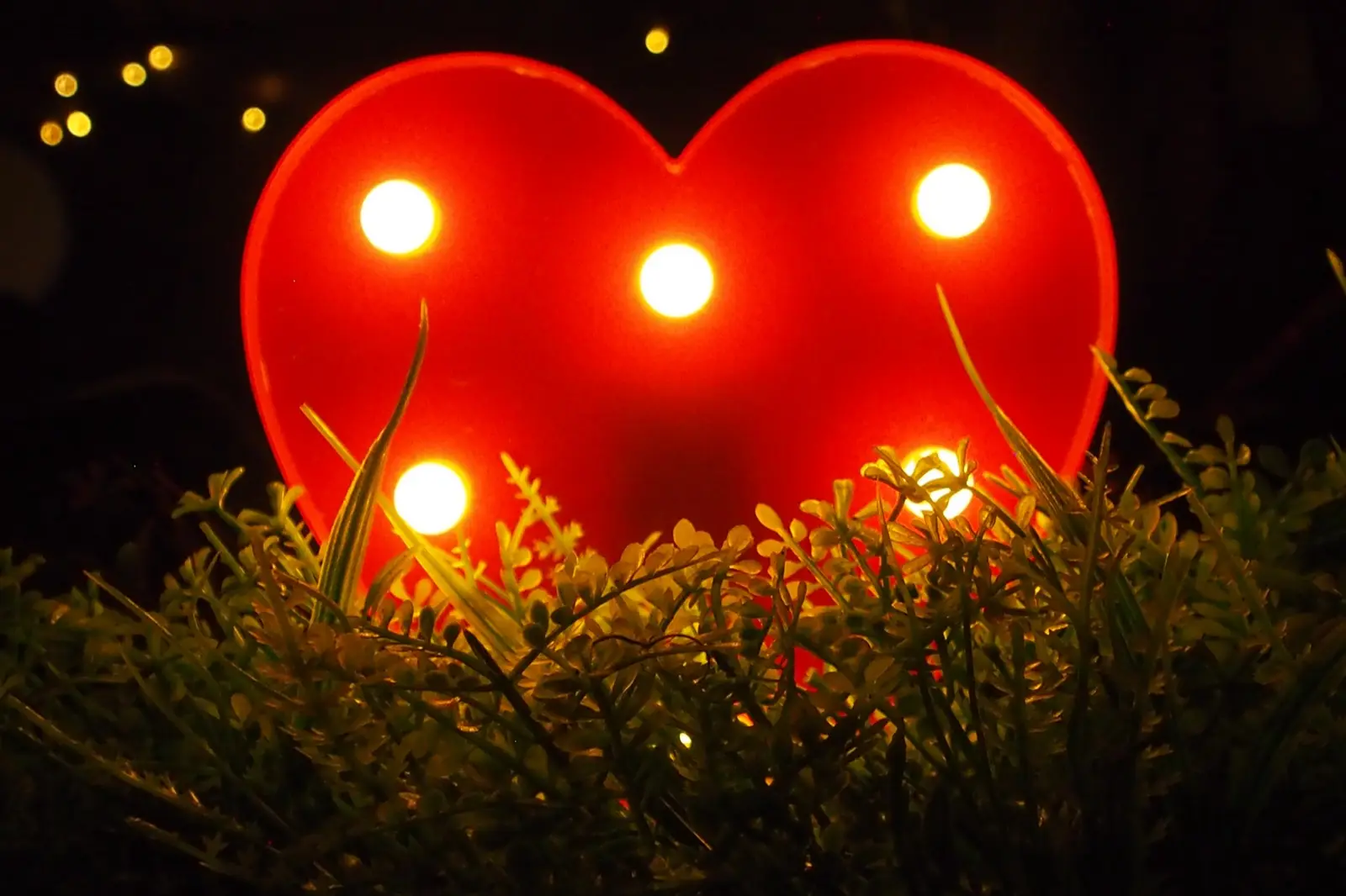 A glowing heart lantern with red roses at a celebration.