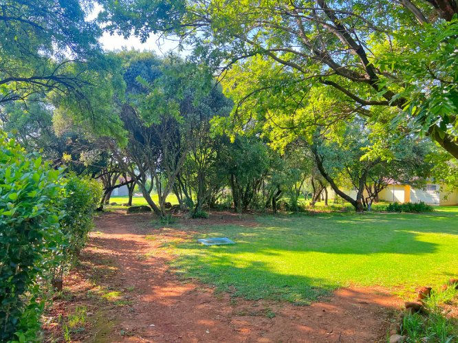 A green garden path beneath mature trees at Protea Ridge Lodge.