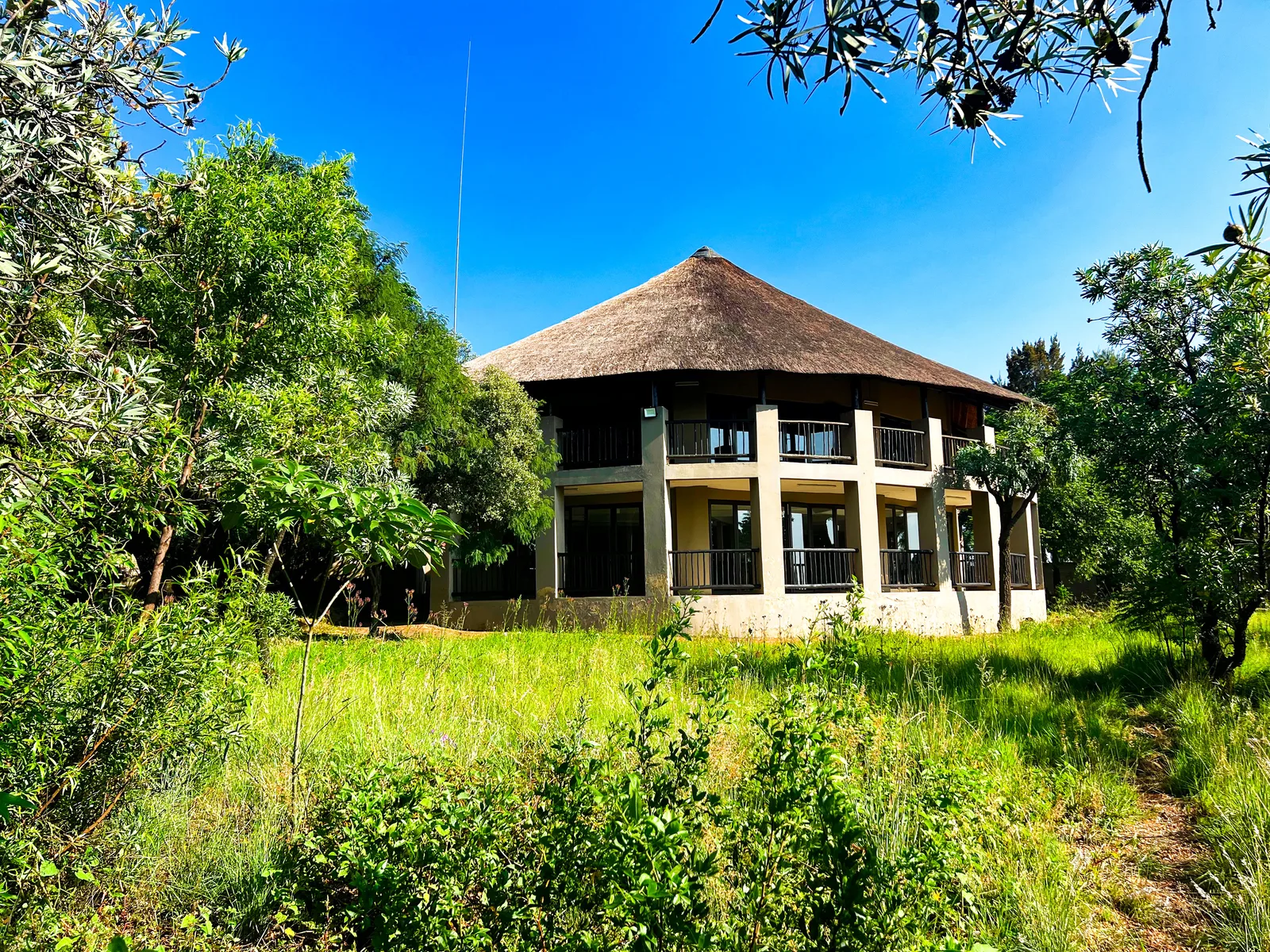 A thatched venue surrounded by green gardens.